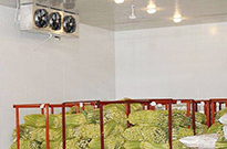 餐飲，廚房雙溫冷庫解決方案